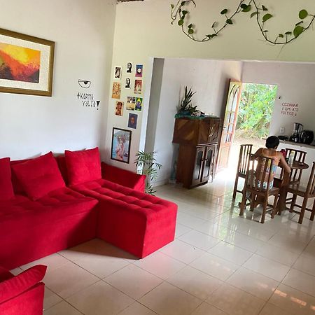 Casa Na Floresta Cosmica アナニンデウア エクステリア 写真